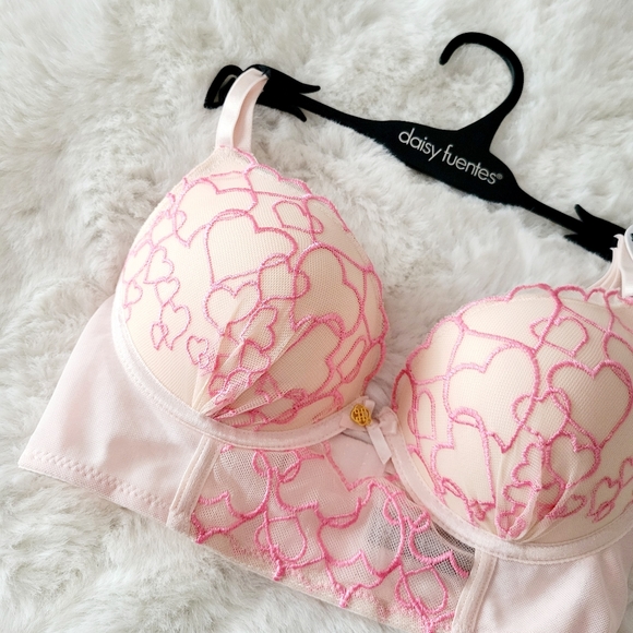 🩷DAISY FUENTES BRAND NEW HEART EMBROIDERED BRA SIZE 34B - Picture 2 of 5